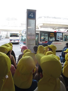 IMG_1519 IMG_1519
