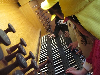 IMG_1549 IMG_1549