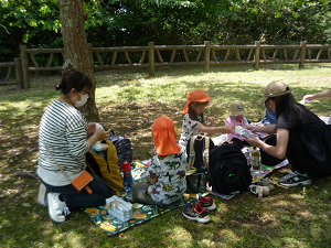 弁当1 弁当1