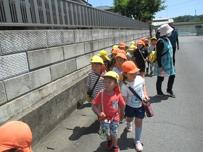IMG_2248 IMG_2248