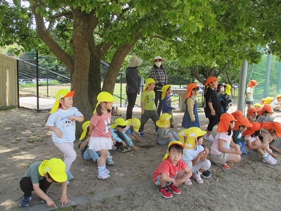 IMG_2253 IMG_2253