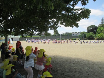 IMG_2255 IMG_2255