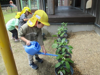 IMG_2257 IMG_2257