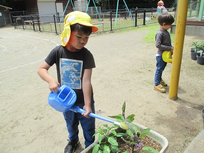 IMG_2260 IMG_2260