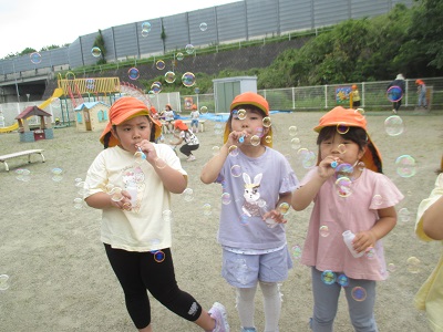 IMG_2208 IMG_2208