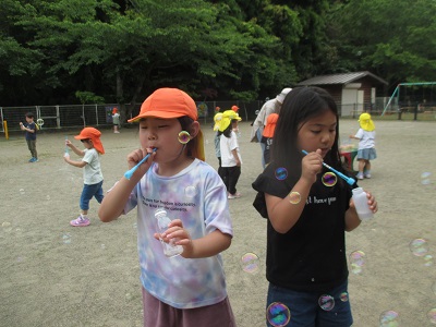 IMG_2221 IMG_2221