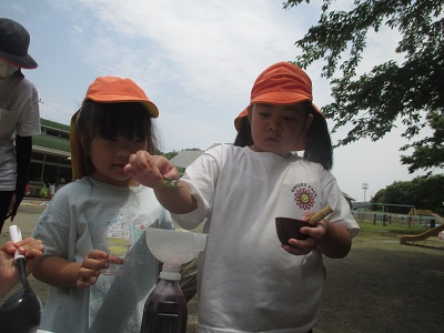 IMG_2587 IMG_2587