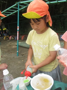 IMG_2586 IMG_2586