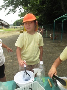 IMG_2583 IMG_2583