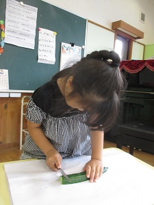 IMG_2734 IMG_2734