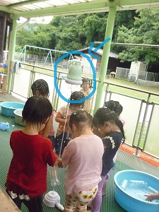 P1170709 P1170709