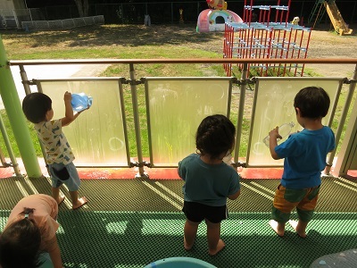 IMG_0397 IMG_0397