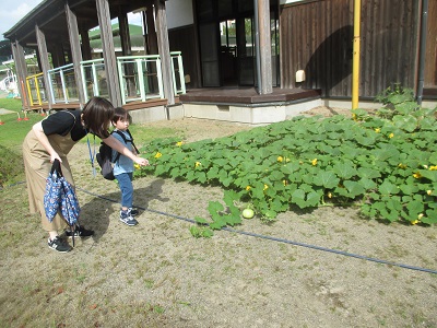 IMG_2727 IMG_2727