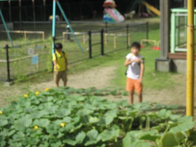 IMG_2728 IMG_2728
