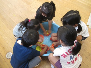 IMG_2870 IMG_2870