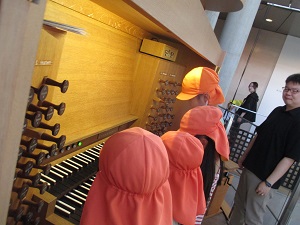 IMG_2932 IMG_2932