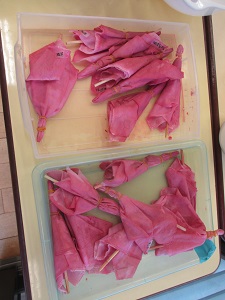IMG_0410 IMG_0410