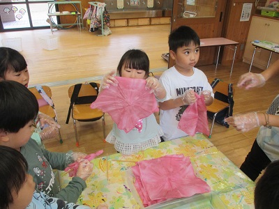 IMG_0419 IMG_0419