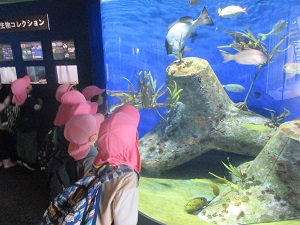 IMG_0018 IMG_0018