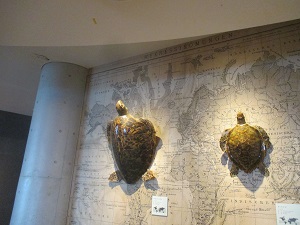 IMG_0127 IMG_0127
