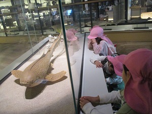 IMG_0130 IMG_0130