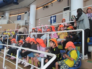 IMG_0038 IMG_0038