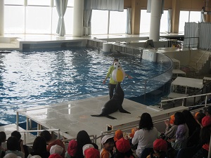 IMG_0067 IMG_0067