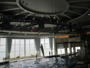 IMG_0077 IMG_0077