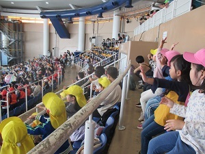 IMG_0079 IMG_0079