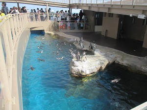 IMG_0100 IMG_0100