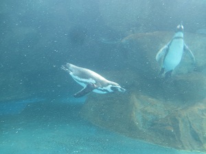 IMG_0103(3) IMG_0103(3)