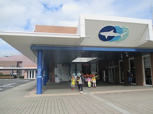 IMG_0137 IMG_0137