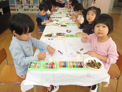 IMG_0077 IMG_0077