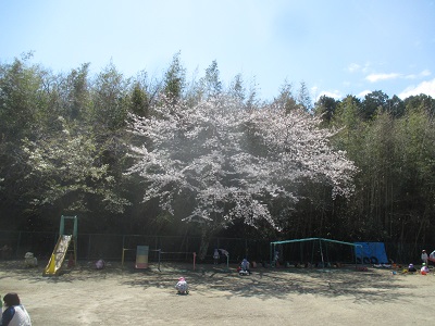IMG_0103 IMG_0103