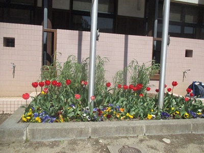 IMG_0104 IMG_0104