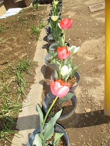 IMG_0105 IMG_0105