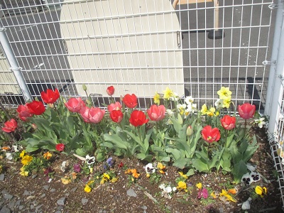 IMG_0107 IMG_0107