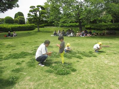 クローバーつみ クローバーつみ