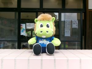 858_5852 858_5852