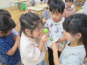 IMG_0017 IMG_0017