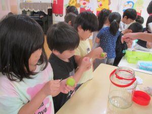 IMG_0019 IMG_0019
