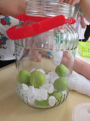 IMG_0022 IMG_0022