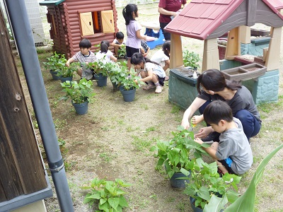 P1050793