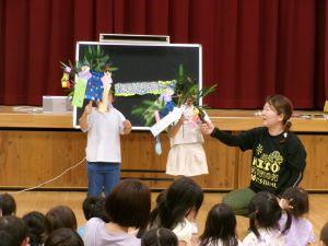 864_6618