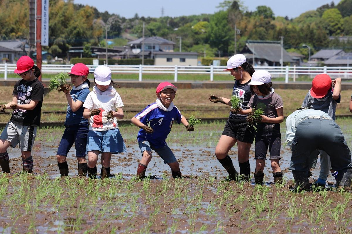 010508田植え (4年足がぬけない 6)