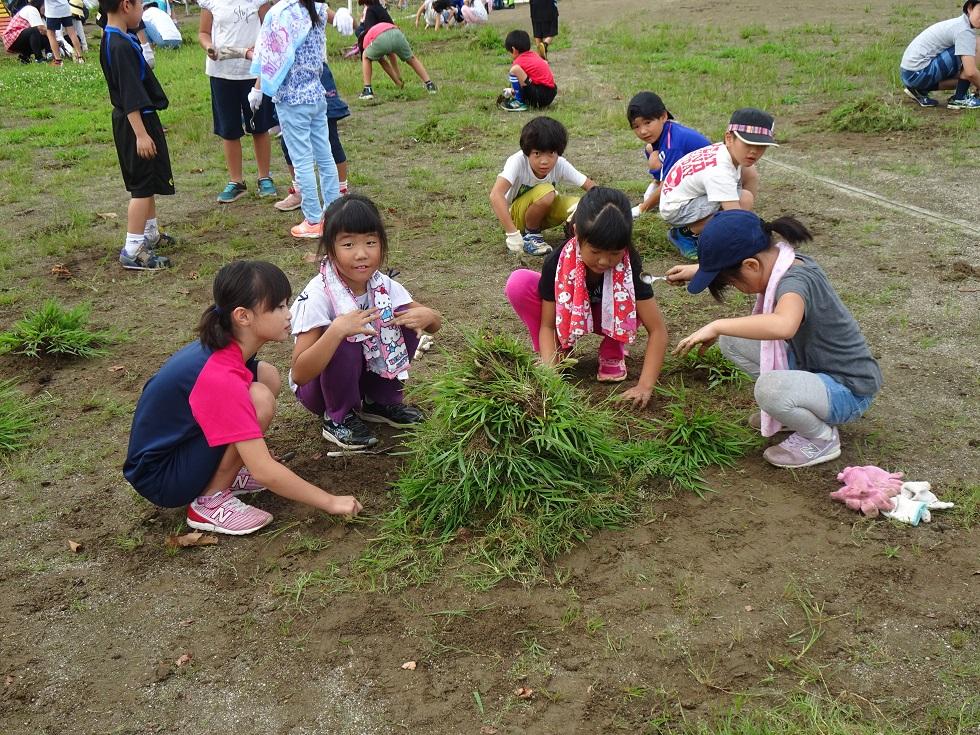 010830 親子奉仕作業3