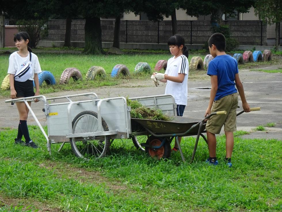 010830 親子奉仕作業4
