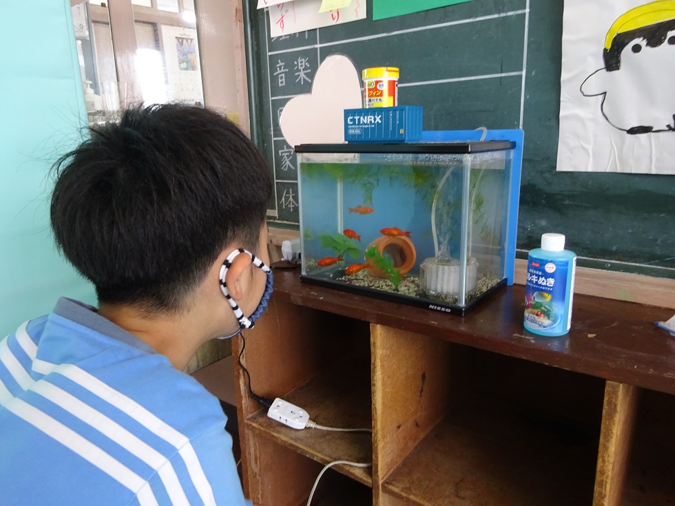 020622 かたくり学級金魚2