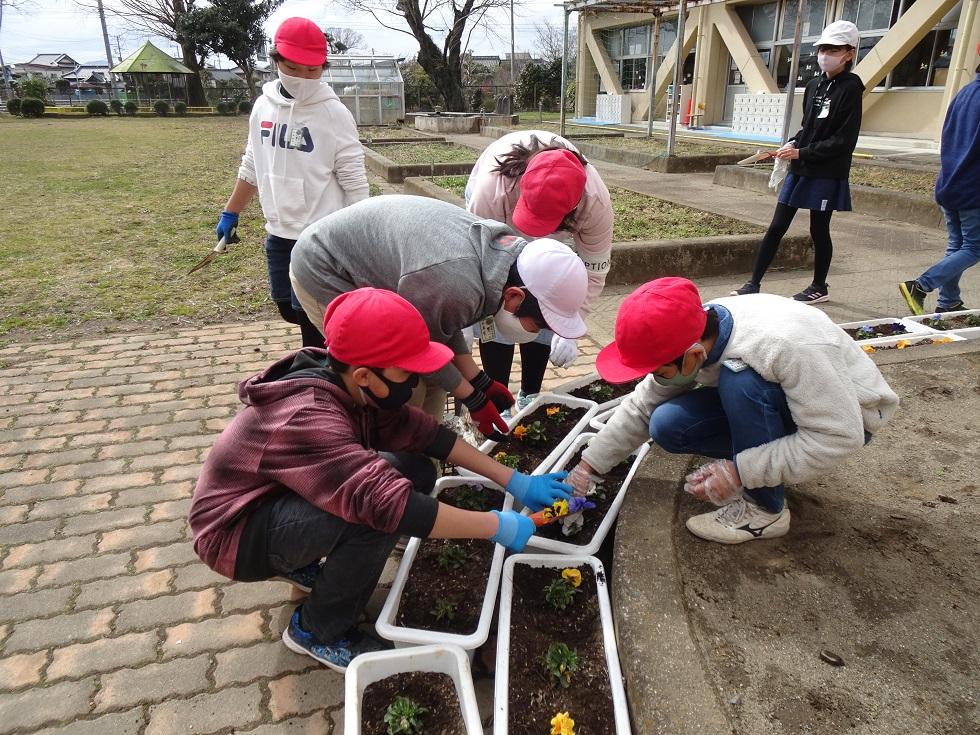 030305 6年生花2