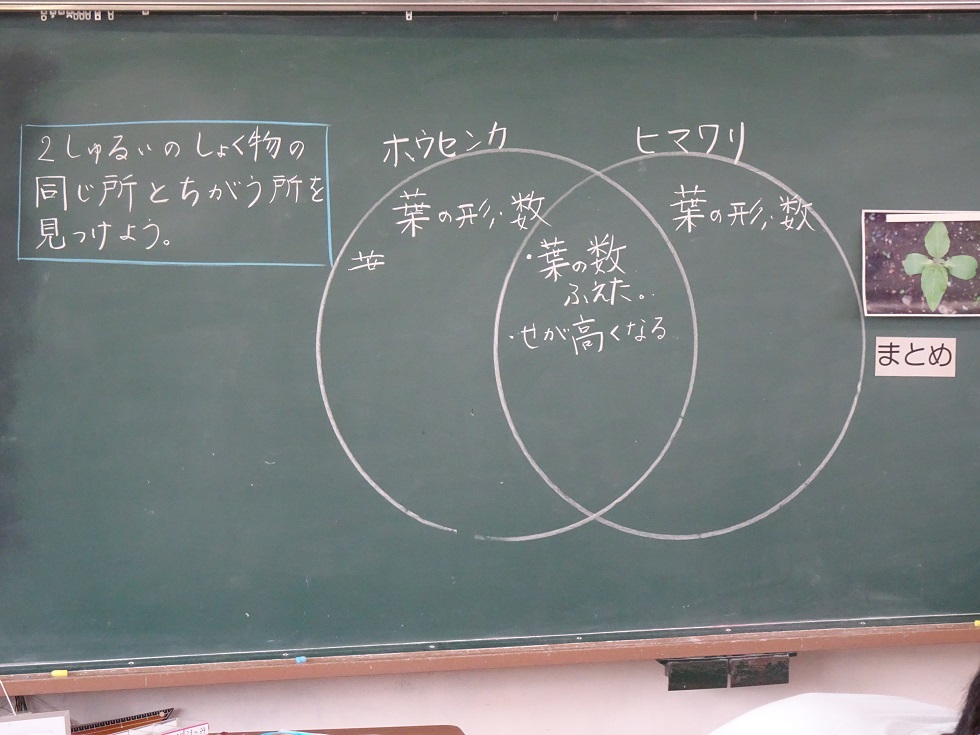 030607 3年1 030607 3年1